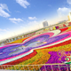 Illustration for article titled Of Course Dubai Has The Largest Flower Garden In The World